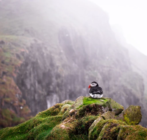 Day 2 · Mykines